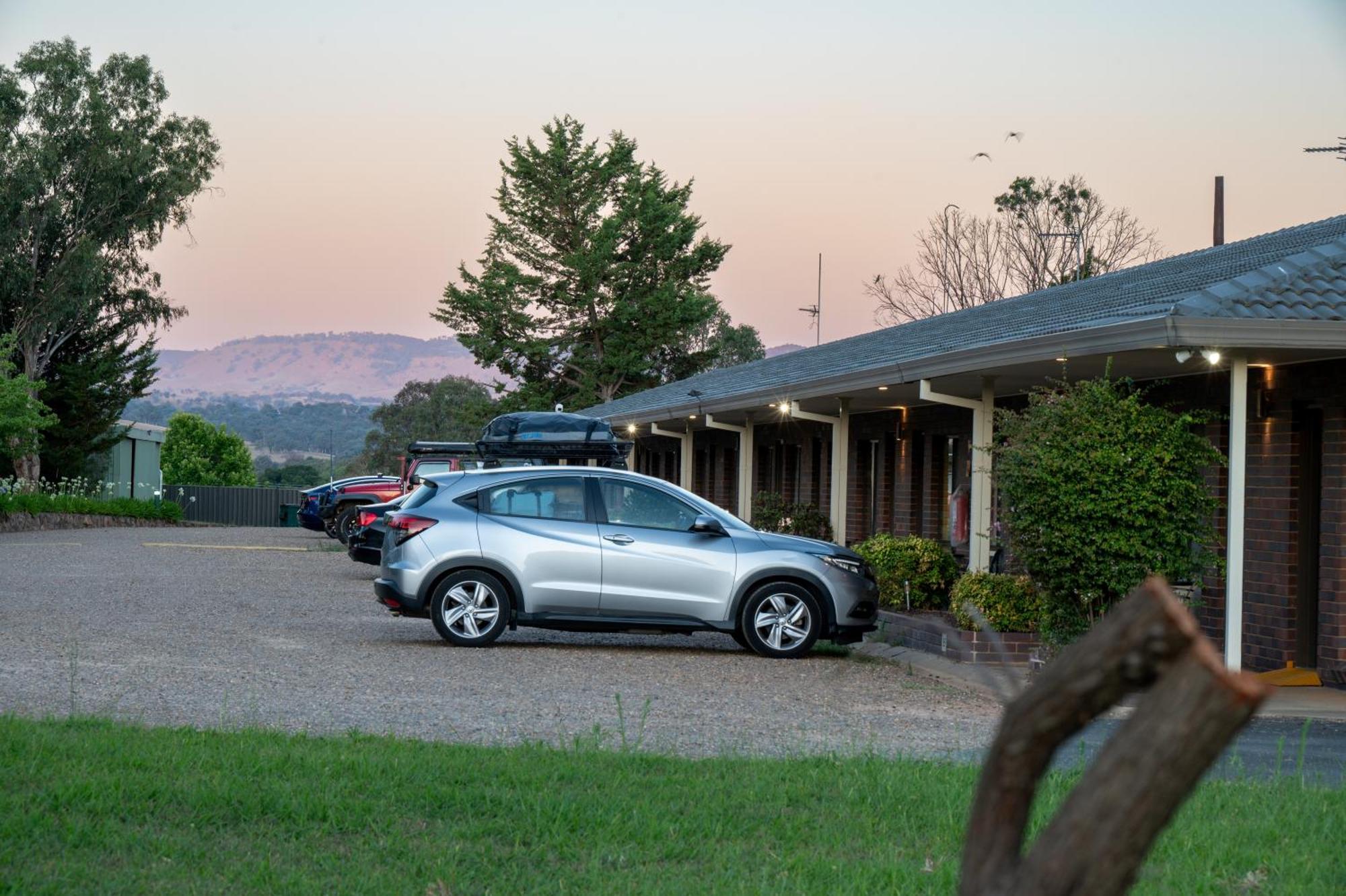 Tumut Valley Motel Pet Friendly Eksteriør billede