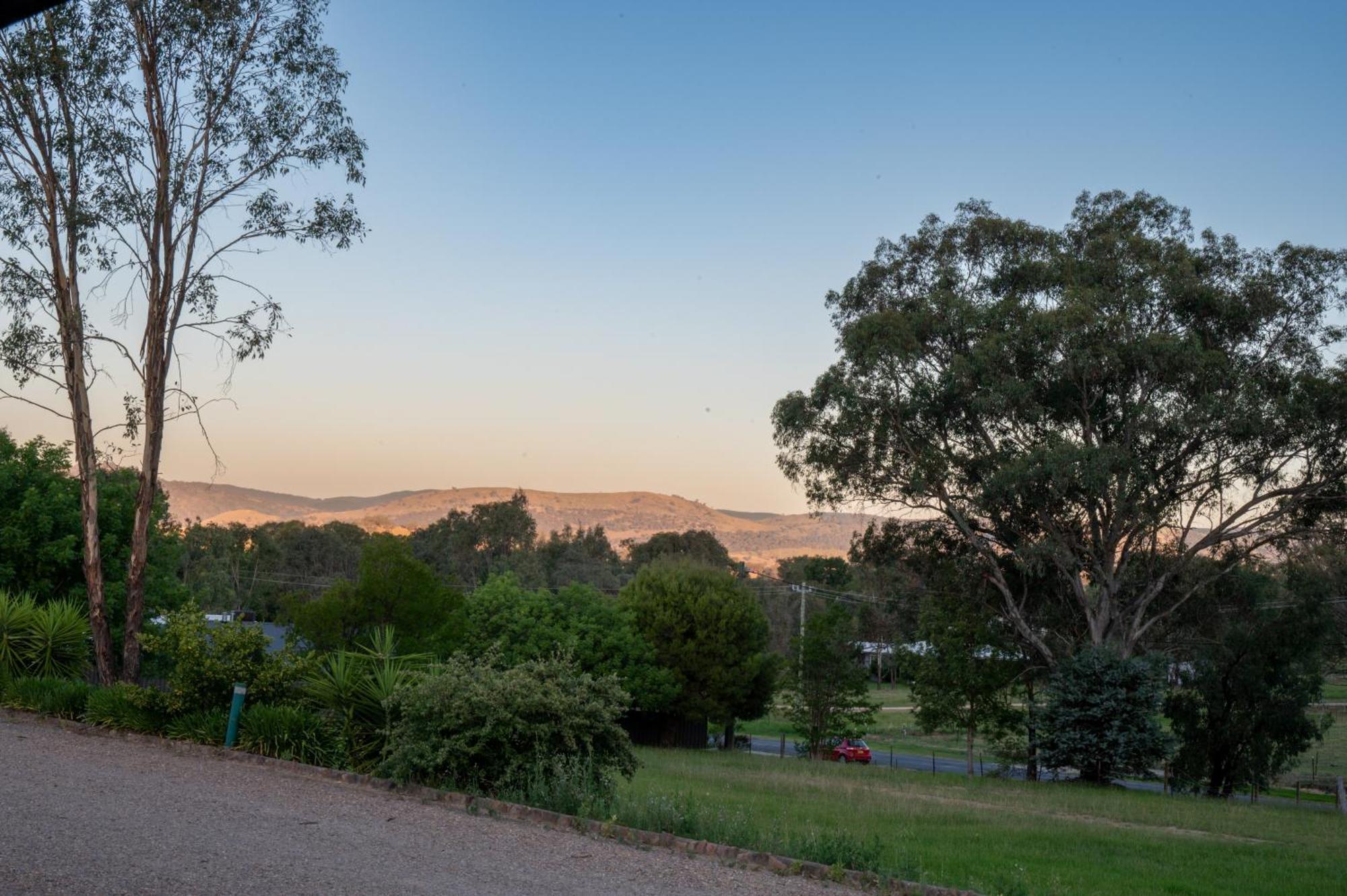 Tumut Valley Motel Pet Friendly Eksteriør billede